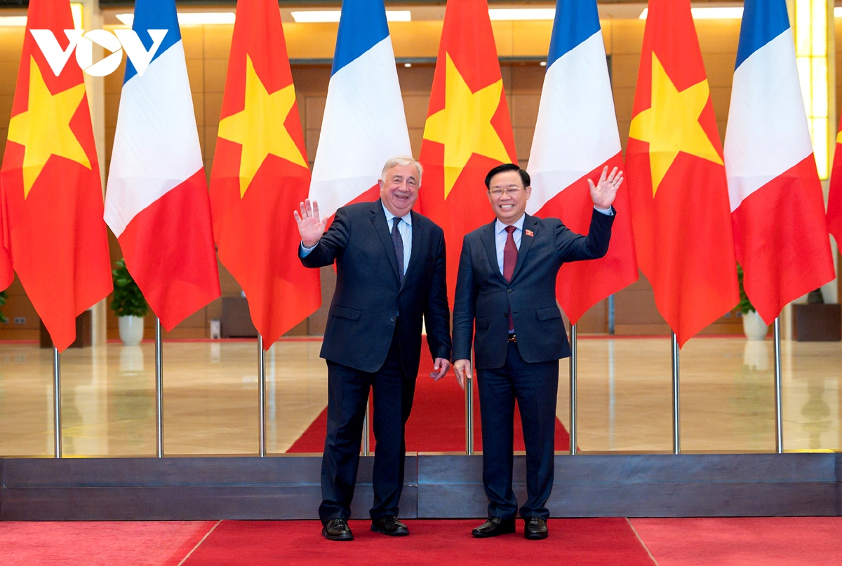 france supports decentralized cooperation with vietnam, says gerard larcher picture 1