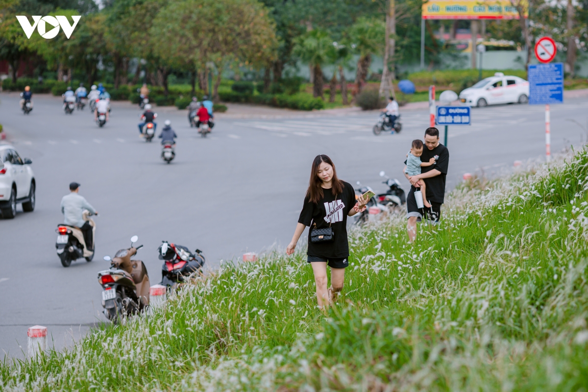 gioi tre ha noi do xo check in bai co lau dep ngay ngat o trien de song hong hinh anh 6
