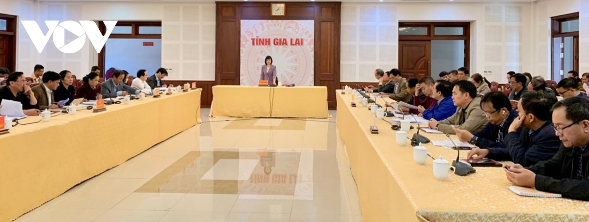 gia lai tim giai phap thao go tinh trang no luong, thieu vat tu cua nganh y te hinh anh 1