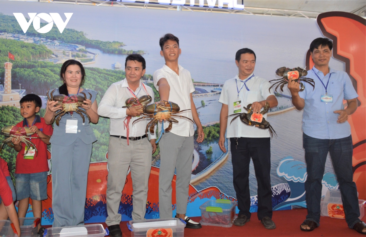 con cua nang hon 1,4 kg danh giai nhat cuoc thi sumo crab tai ca mau hinh anh 2