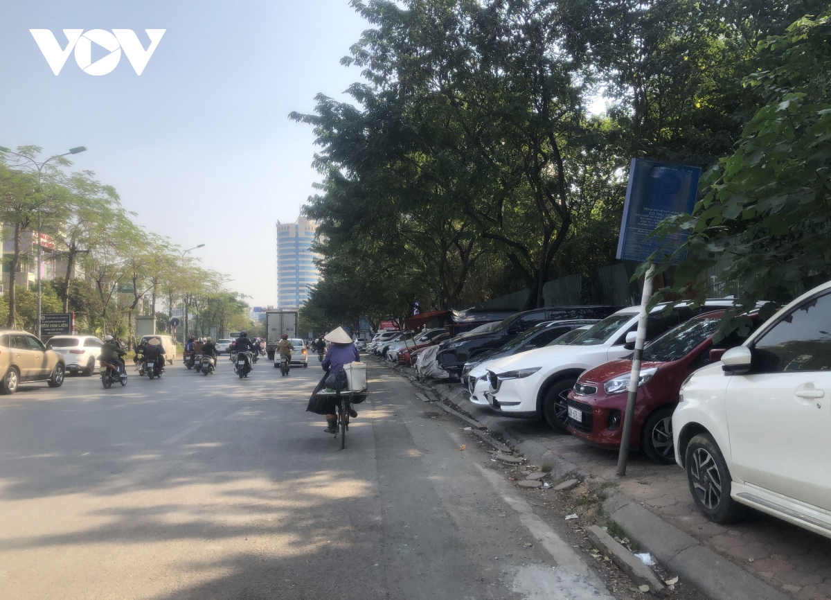 nhan nhan via he, vuon hoa thanh bai do xe benh kho chua o ha noi hinh anh 13