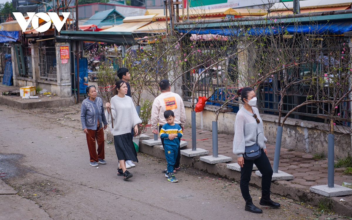 nguoi dan ha noi xuong pho mua hoa dao, hoa le choi tet som hinh anh 5