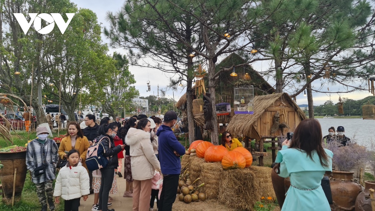 festival hoa Đà lạt thu hút hơn 1,8 triệu lượt khách đến tham quan hình ảnh 1 festival hoa Da lat thu hut hon 1,8 trieu luot khach den tham quan hinh anh 1