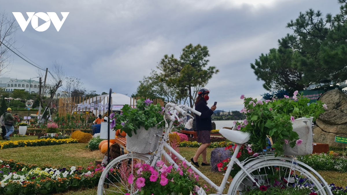 festival hoa Đà lạt thu hút hơn 1,8 triệu lượt khách đến tham quan hình ảnh 2 festival hoa Da lat thu hut hon 1,8 trieu luot khach den tham quan hinh anh 2
