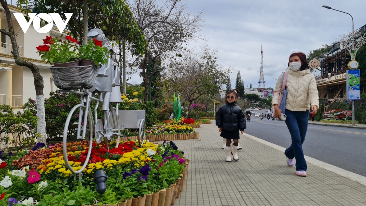 festival hoa Đà lạt thu hút hơn 1,8 triệu lượt khách đến tham quan hình ảnh 3 festival hoa Da lat thu hut hon 1,8 trieu luot khach den tham quan hinh anh 3