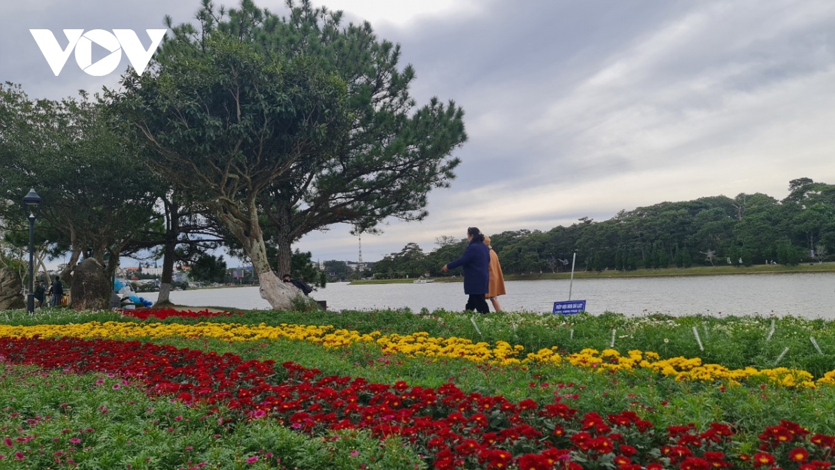 festival hoa Đà lạt thu hút hơn 1,8 triệu lượt khách đến tham quan hình ảnh 5 festival hoa Da lat thu hut hon 1,8 trieu luot khach den tham quan hinh anh 5