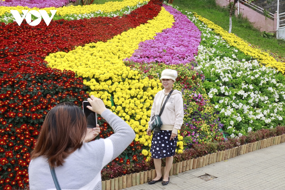 Top 24 vườn hoa Đà Lạt đẹp ngất ngây thoải mái checkin  MOTOGO