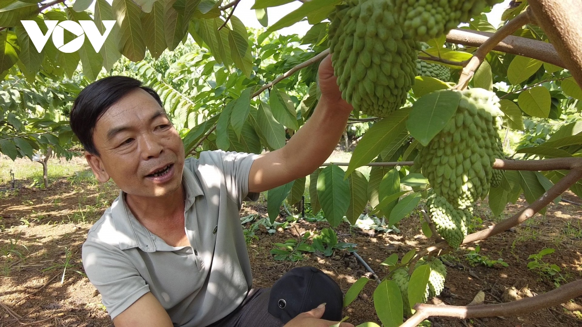 tây bắc hiện thực hoá khát vọng phát triển từ nghị quyết của Đảng hình ảnh 6 tay bac hien thuc hoa khat vong phat trien tu nghi quyet cua Dang hinh anh 6