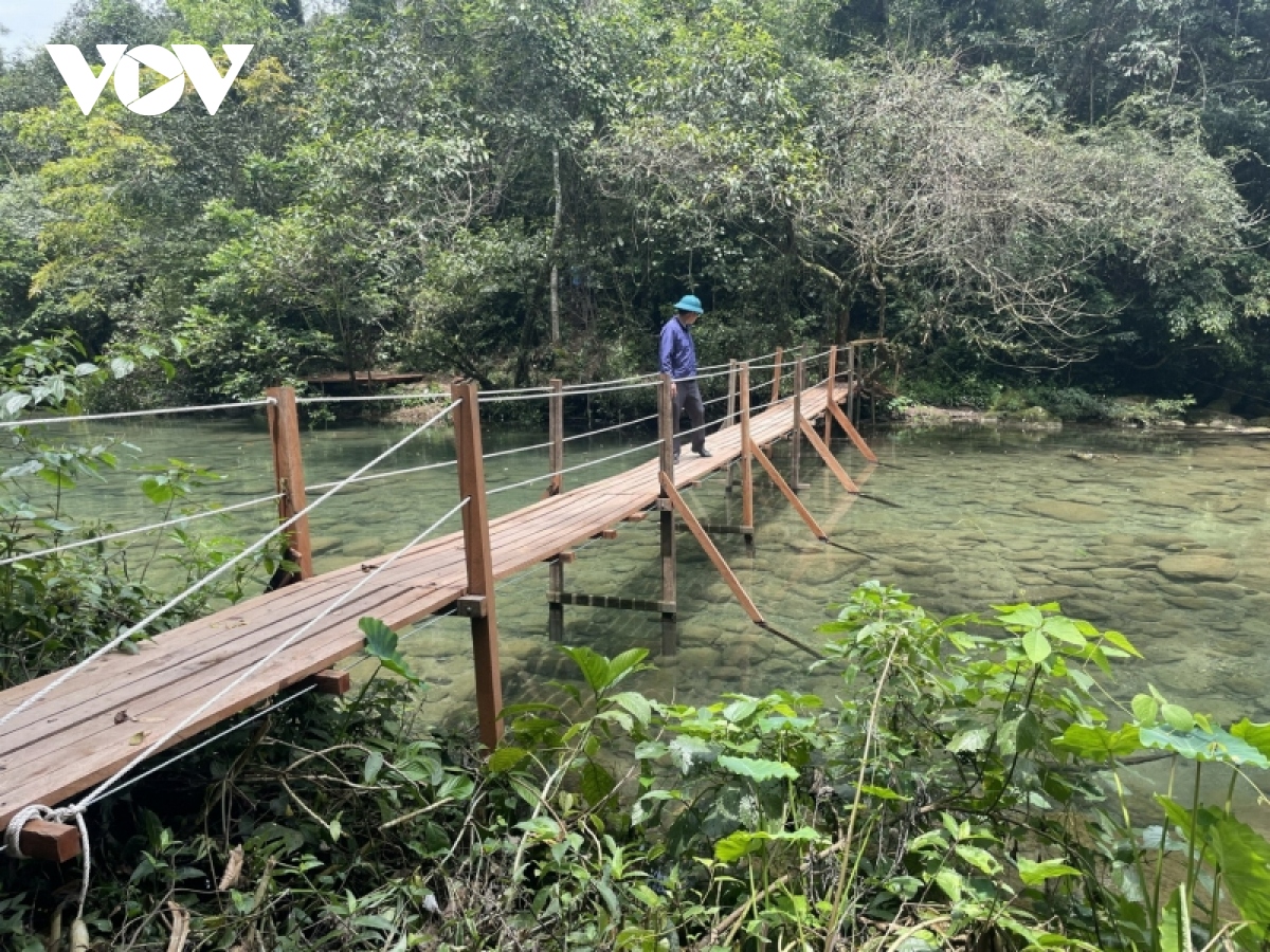  quang binh hop thuc hoa cho khu du lich tung hoat dong khong phep giua rung hinh anh 1