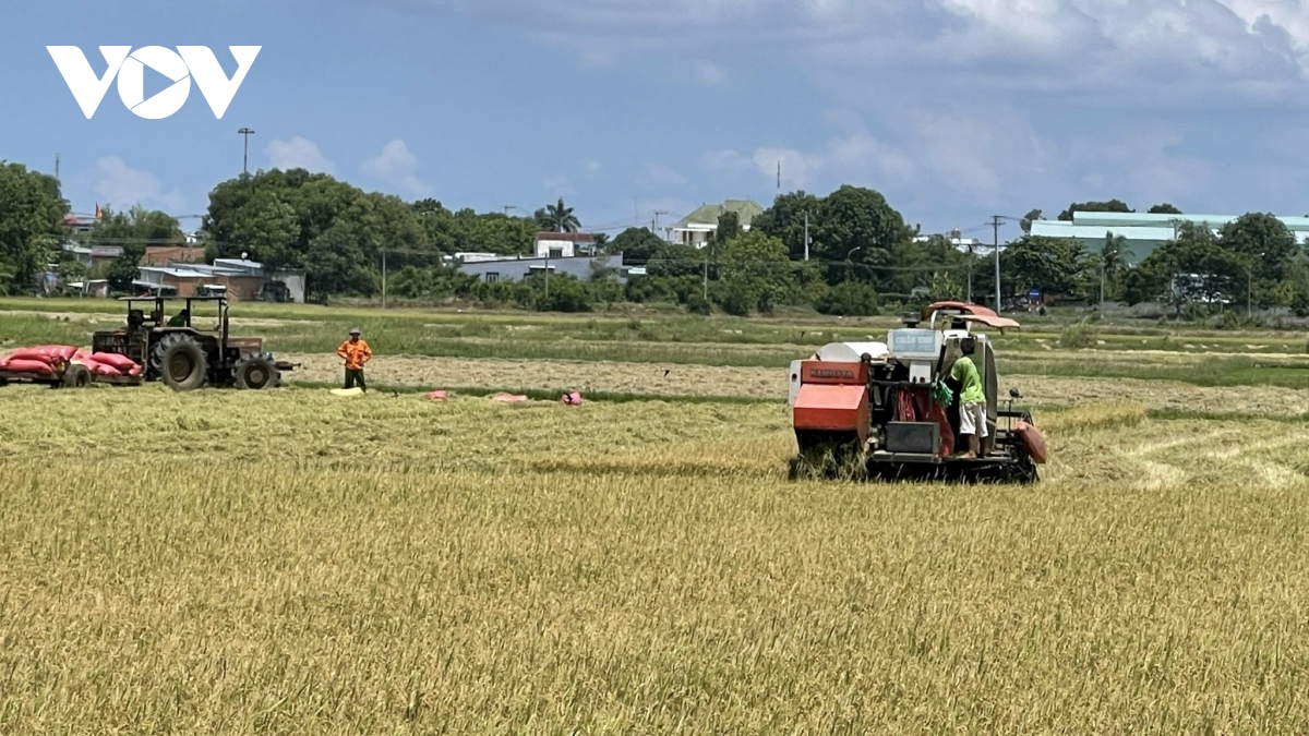 hop tac xa nong nghiep lam an tot nho ung dung co gioi hoa hinh anh 1