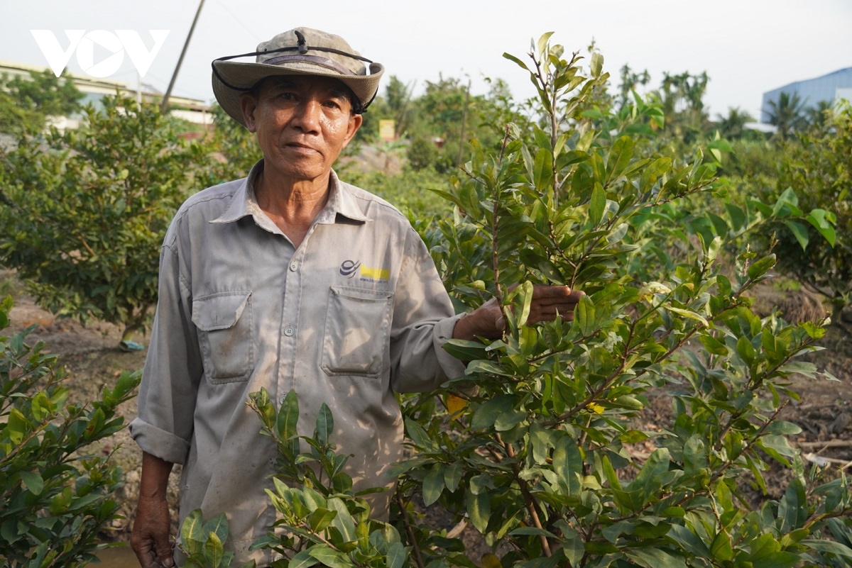 nguoi trong hoa tet o tp.hcm lao dao vi mua nang that thuong hinh anh 2