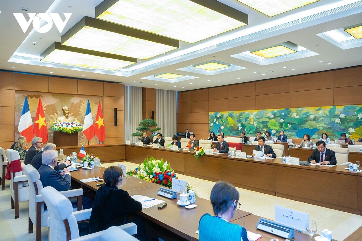 france supports decentralized cooperation with vietnam, says gerard larcher picture 2