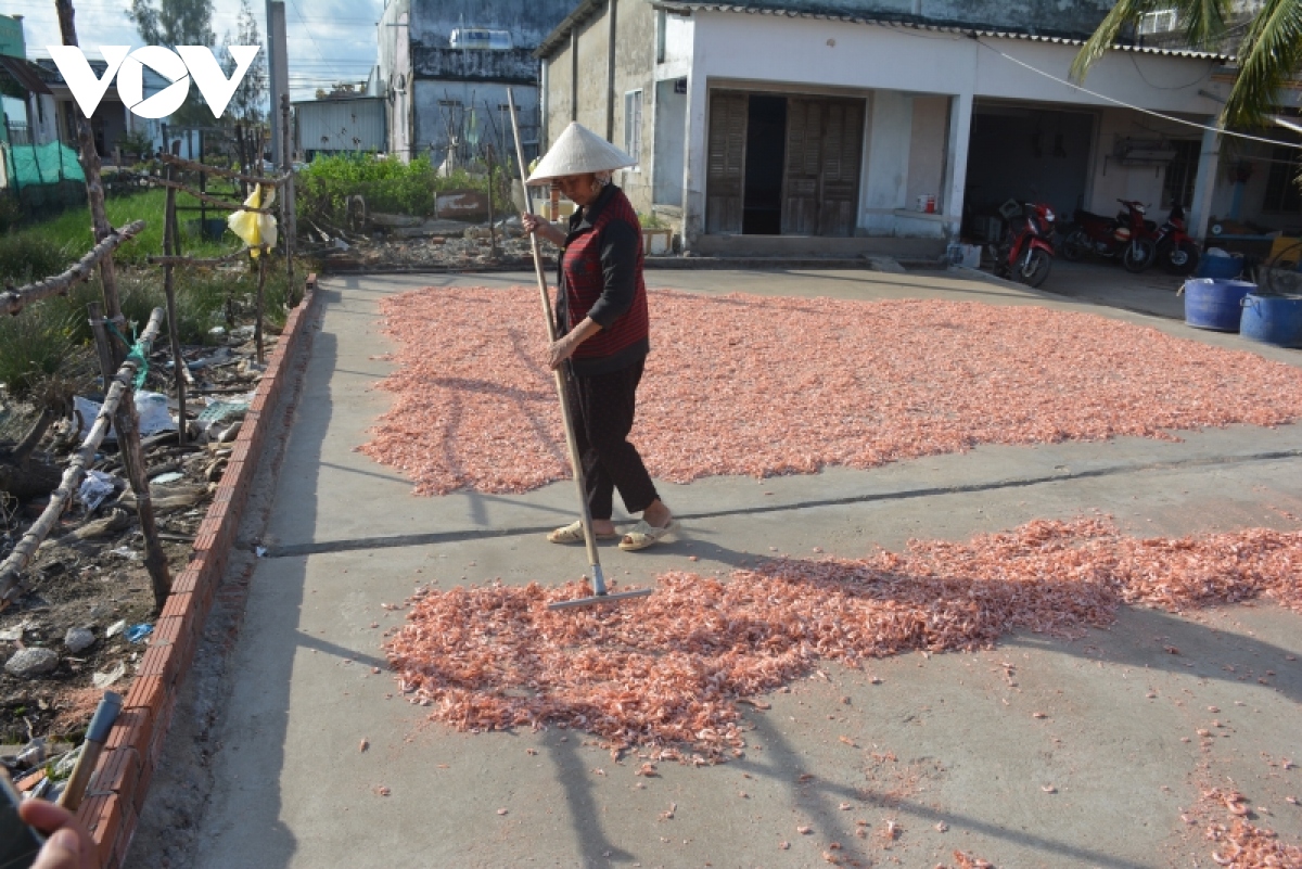 Dac san tom kho ca mau hut hang dip tet hinh anh 13