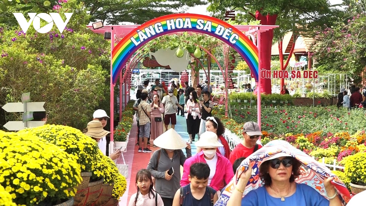 làng hoa lớn nhất miền tây tất bật vụ hoa tết hình ảnh 14 lang hoa lon nhat mien tay tat bat vu hoa tet hinh anh 14
