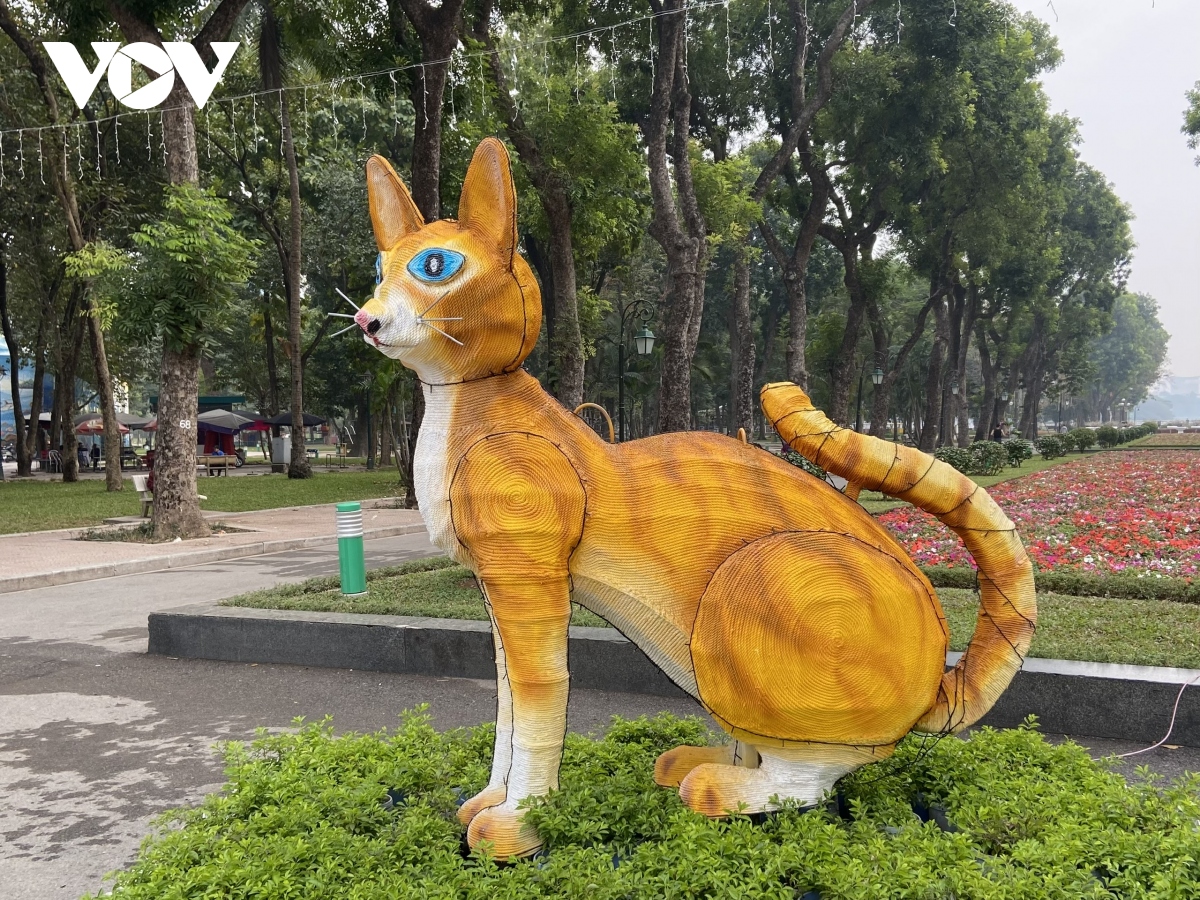 Cận cảnh tượng mèo gây xôn xao ở công viên Thống Nhất Hà Nội