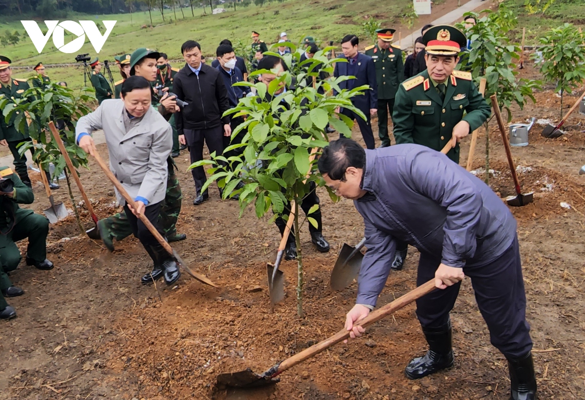 Thủ tướng Phạm Minh Chính phát động Tết trồng cây Đời đời nhớ ơn ...