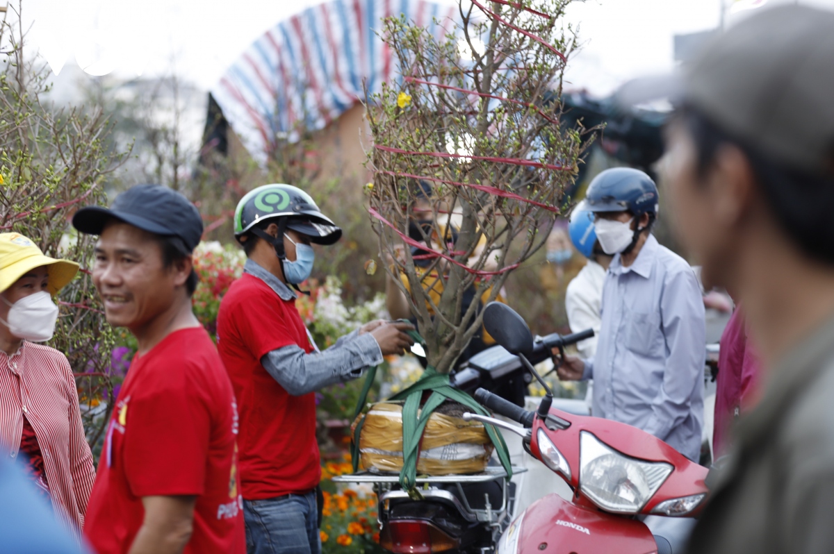 cho hoa xuan tren ben duoi thuyen 2023 quy mo va da dang hon moi nam hinh anh 6