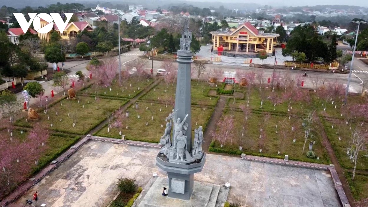mưa, lạnh du khách vẫn đổ về măng Đen thưởng lãm hoa anh đào hình ảnh 1 mua, lanh du khach van do ve mang Den thuong lam hoa anh dao hinh anh 1