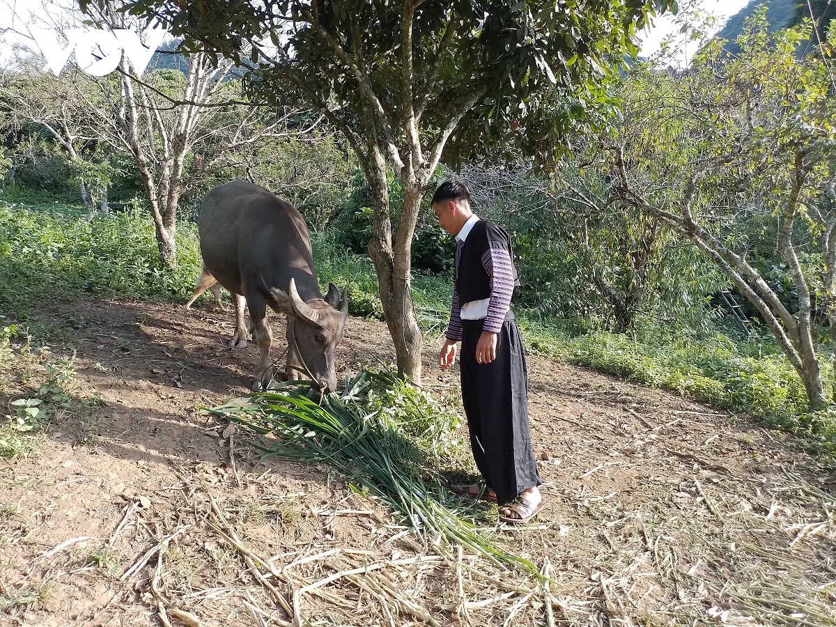 manh dan thay doi nep nghi, cach lam giup thanh nien dan toc mong thoat ngheo hinh anh 2