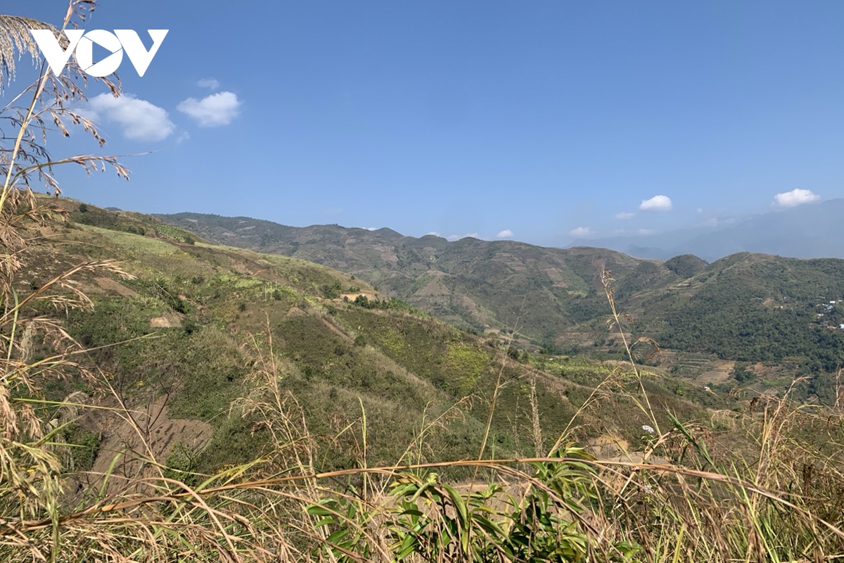 hang tram nguoi tham gia vay bat doi tuong giet nguoi tren doi cao su tai lai chau hinh anh 6