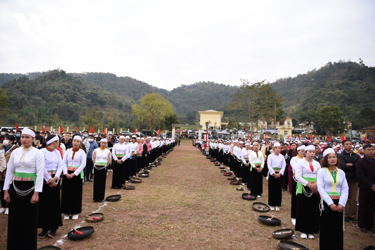 hang nghin dong bao cac dan toc va thanh nien tham gia tet trong cay tai hoa binh hinh anh 3