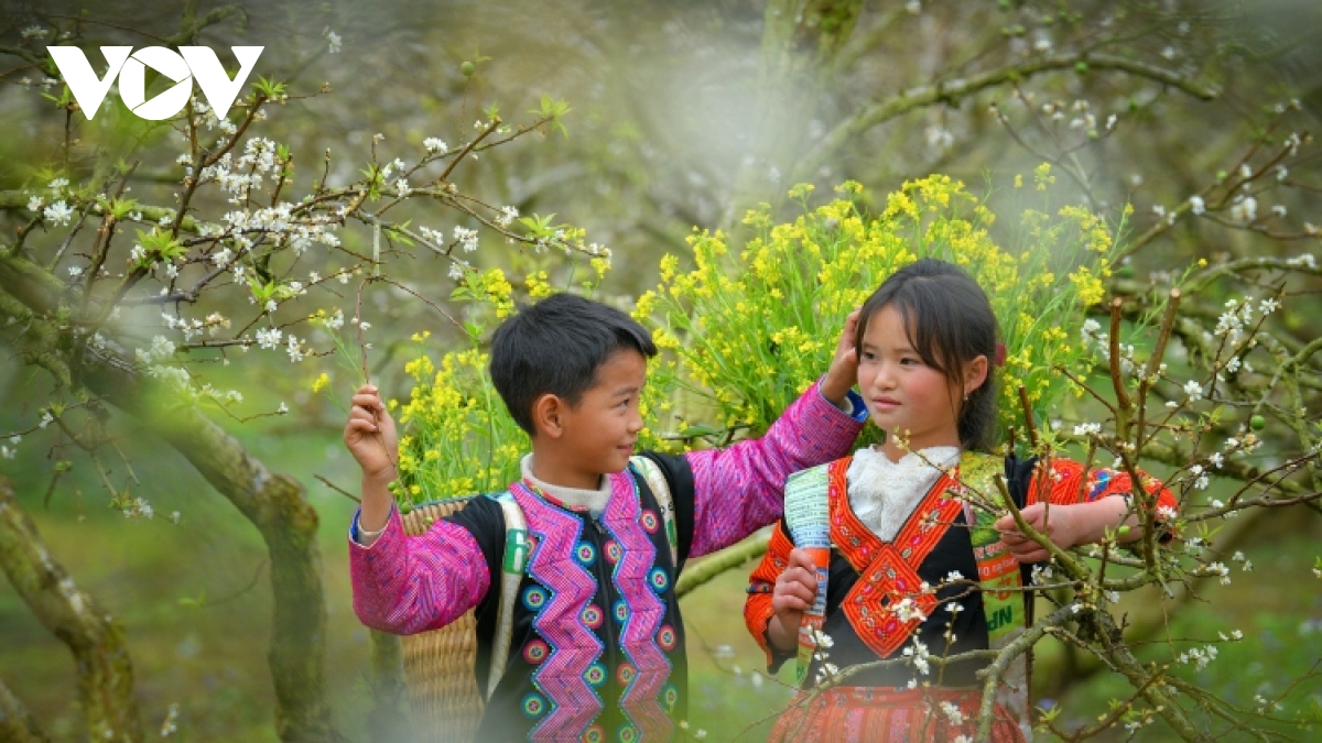 Photos capture beauty of children of Moc Chau Plateau