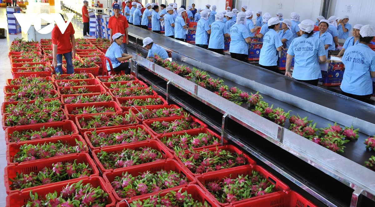Businesses told to improve competiveness to boost exports to US market