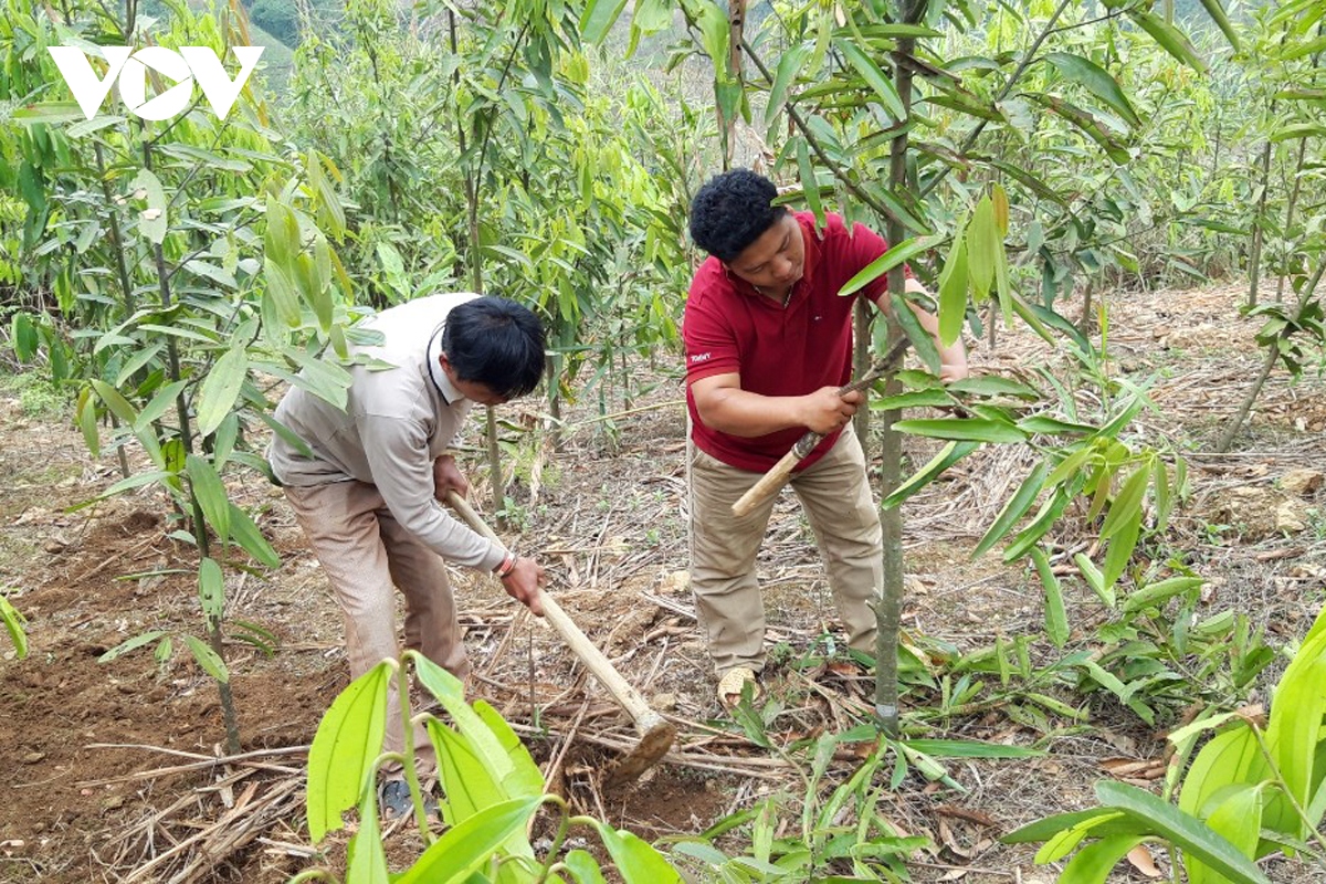 Sắc Xuân trên các bản làng người La Hủ