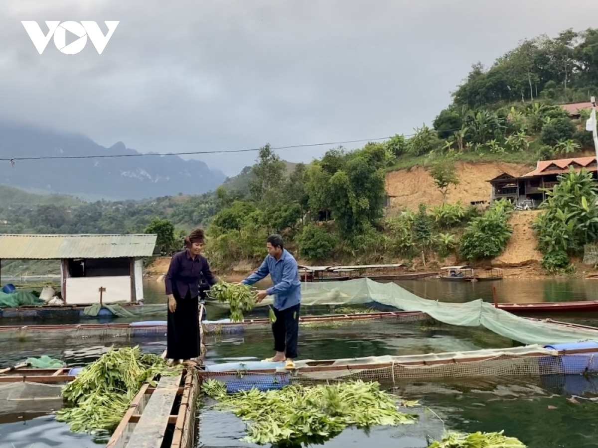 xuan am tren vung Da giang hinh anh 3