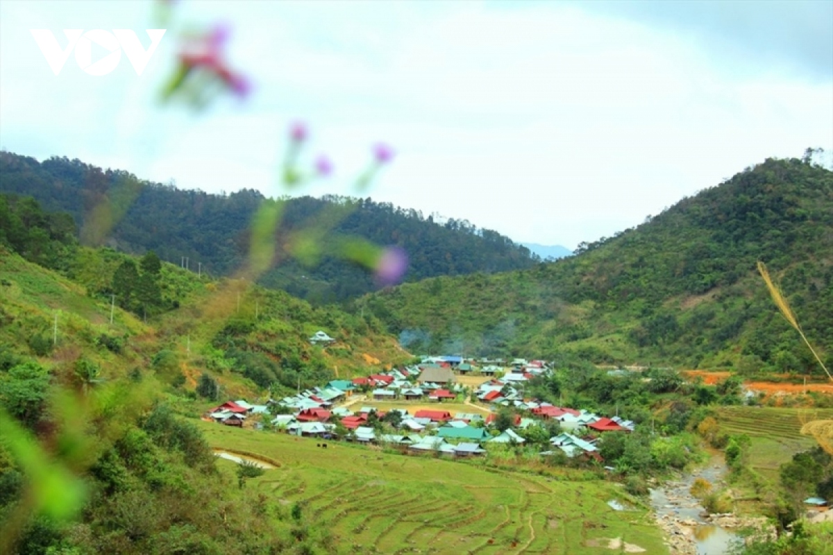 xuan am tren cac ban lang mien nui tinh quang nam hinh anh 4