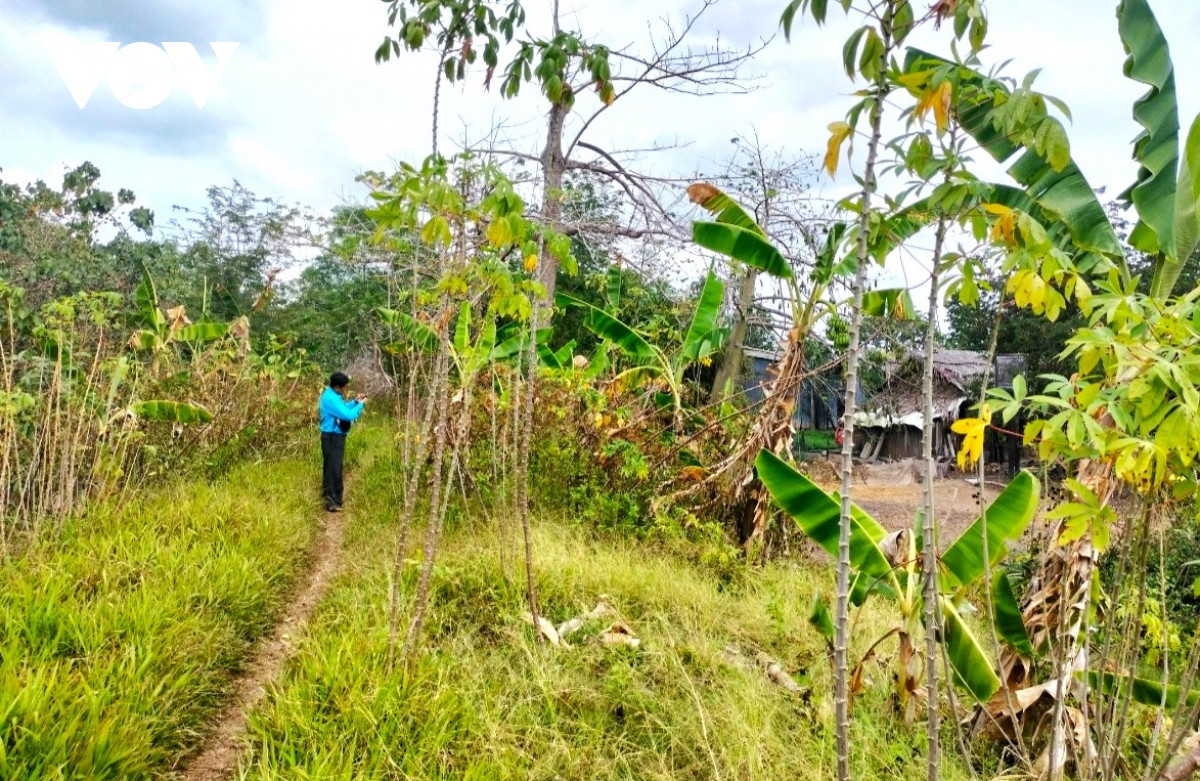 noi long dan mien bien u minh - lo con song du, cho hoai con de hinh anh 1