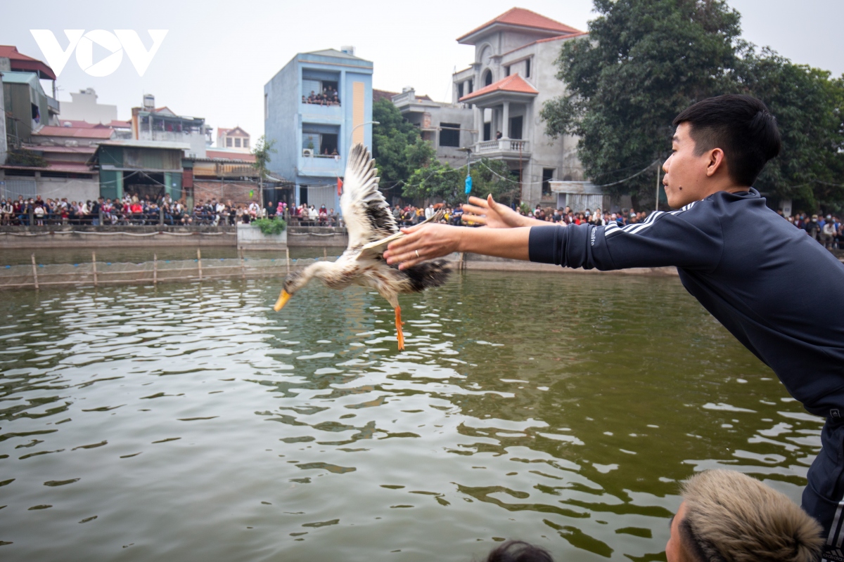 bat chap gia ret, trai lang dam minh duoi ao hao hung thi bat vit hinh anh 4