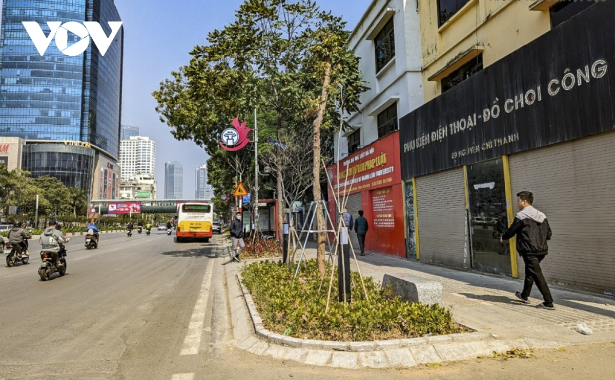 hang loat ghe da duoc dat duoi hang cay hoa sua tren duong nguyen chi thanh hinh anh 4