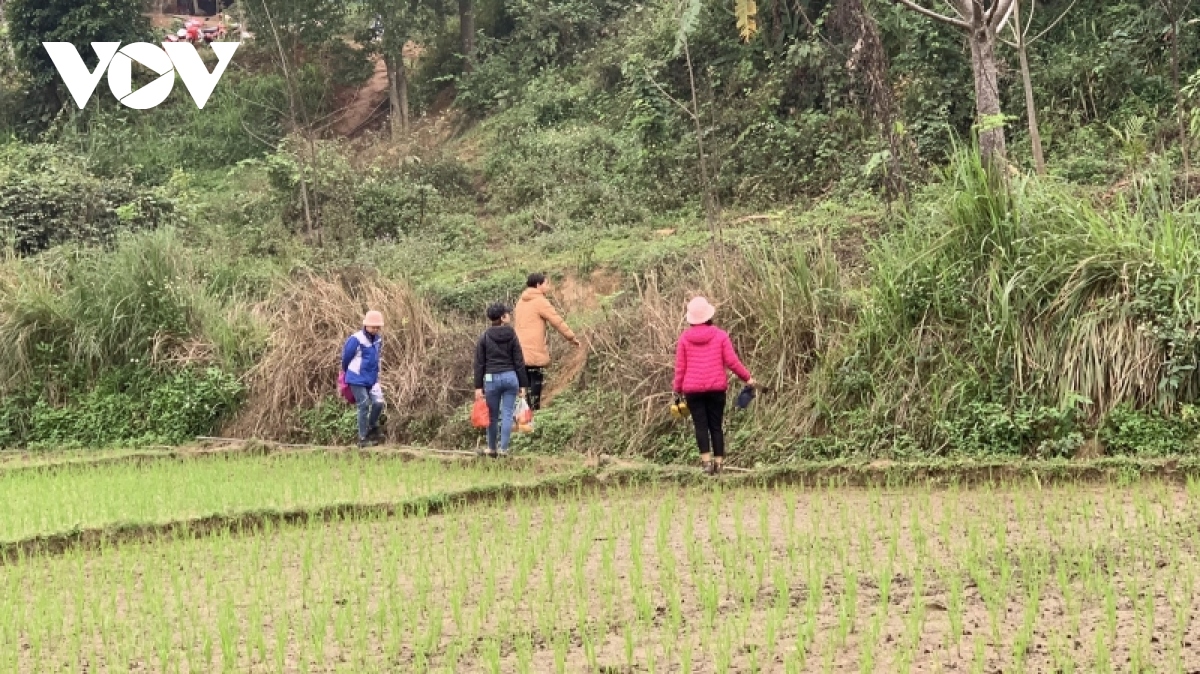 nghe loi don, nguoi dan tu tap tim da quy ven song chay hinh anh 19