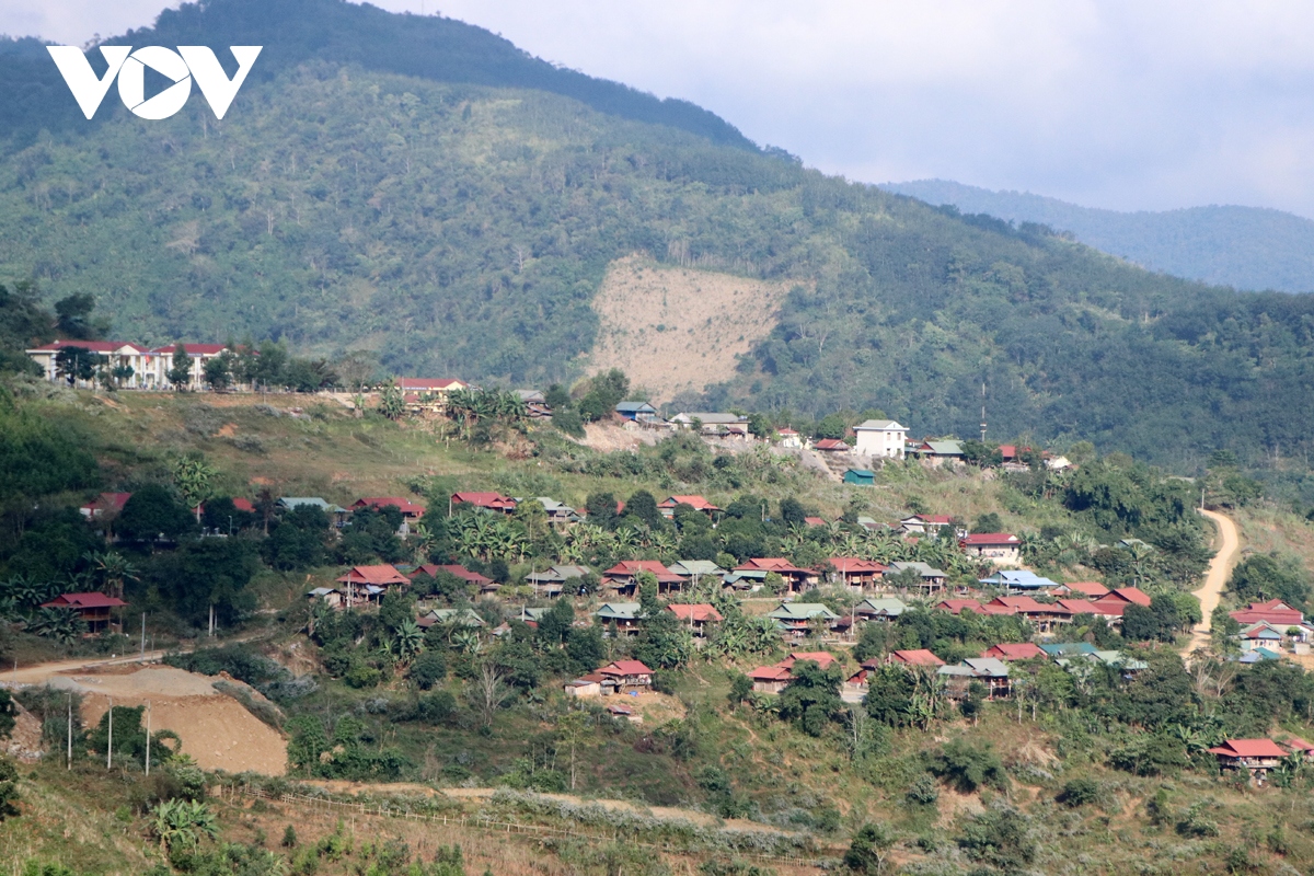 xuan am tren vung tai dinh cu nam khao hinh anh 2