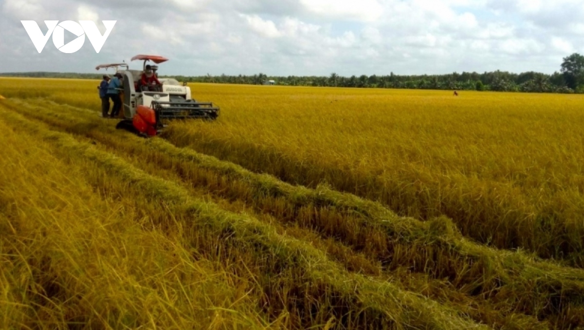 Góp ý dự thảo Luật Đất đai sửa đổi: Ngân hàng đất đai "cởi trói” đất nông nghiệp