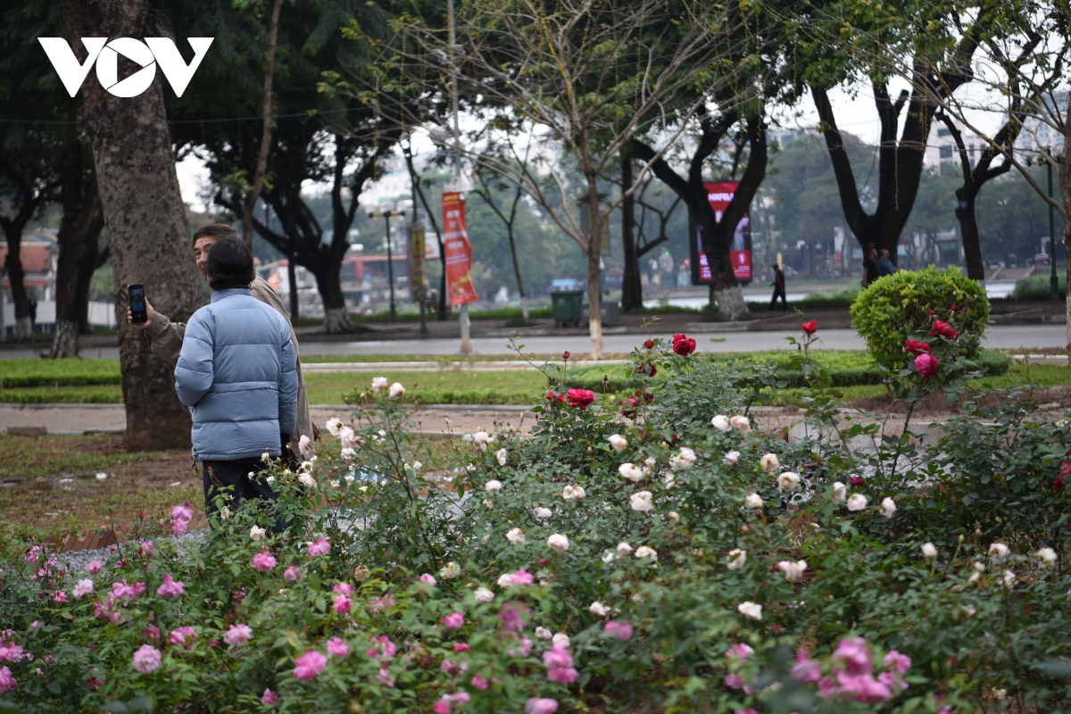 ngo ngang voi vuon hong thom ngat tai khong gian di bo ho thien quang hinh anh 11