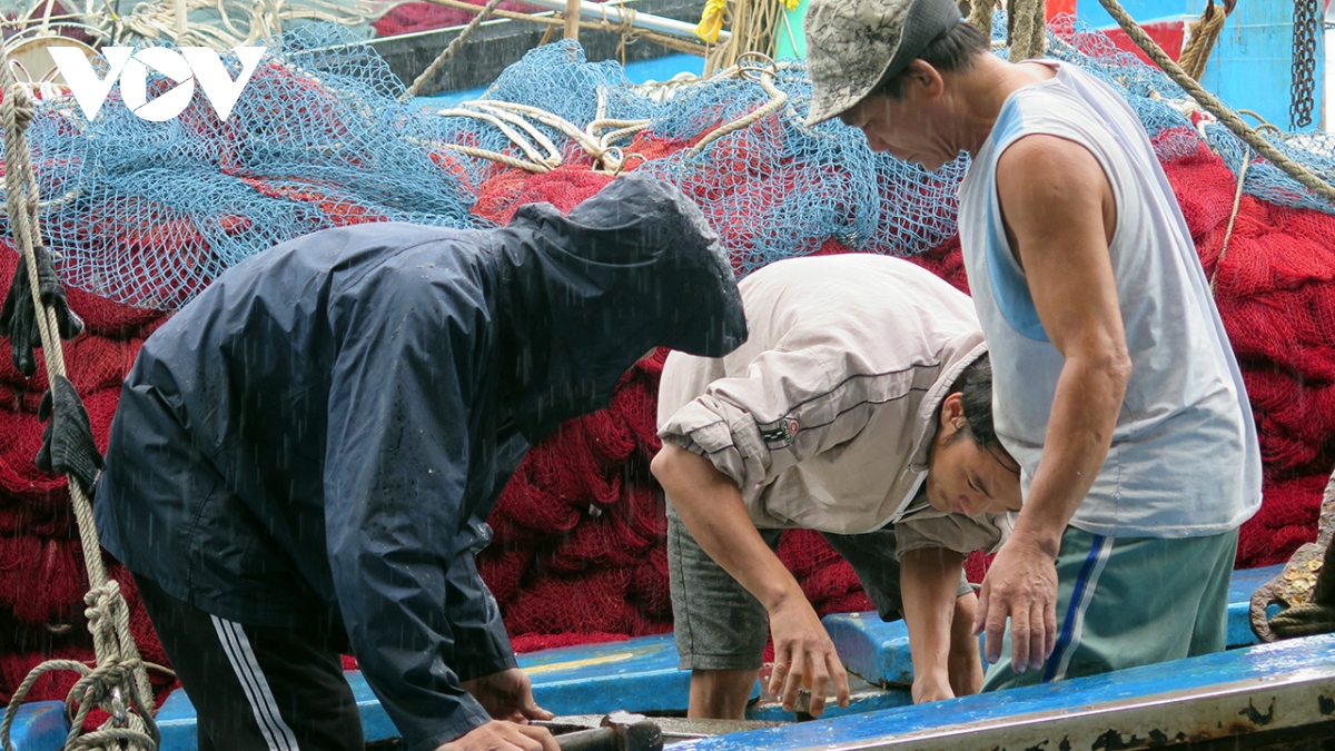 Ngư dân vươn khơi phiên biển đầu năm lời ít, lỗ nhiều