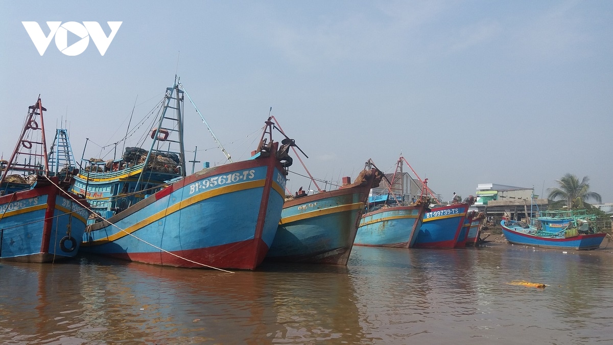 ben tre quyet tam khong de tau ca vi pham iuu hinh anh 1