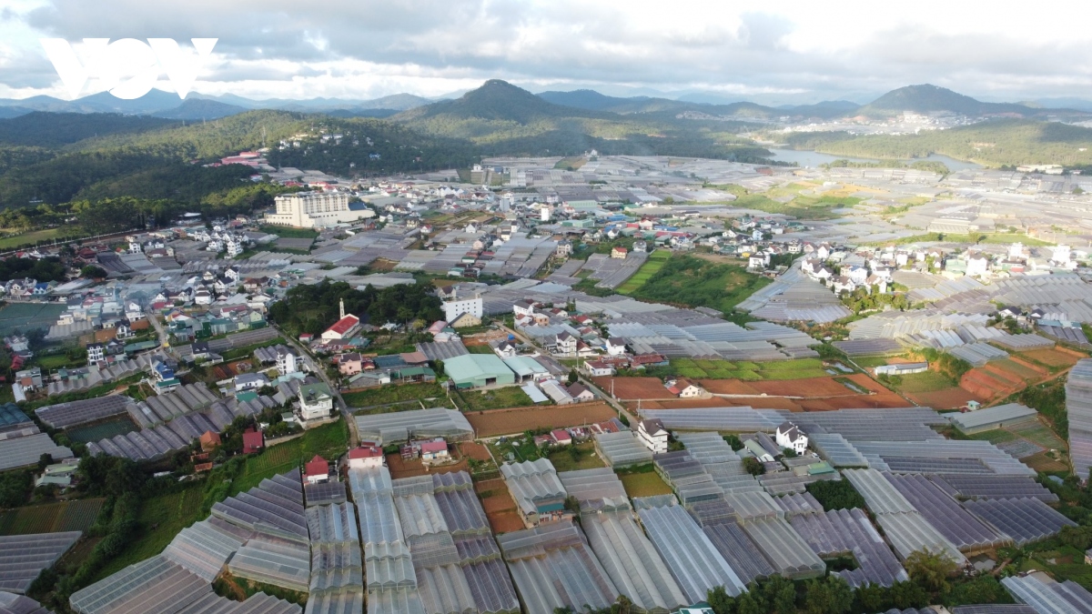 vi sao lam Dong di doi nha kinh ra khoi noi o Da lat hinh anh 1