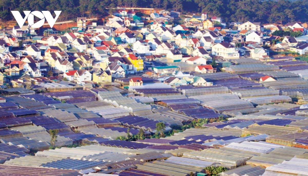 vi sao lam Dong di doi nha kinh ra khoi noi o Da lat hinh anh 2