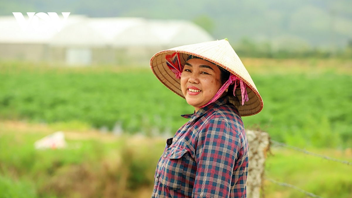  ngay dep tuoi o xa nong thon moi kieu mau hinh anh 1