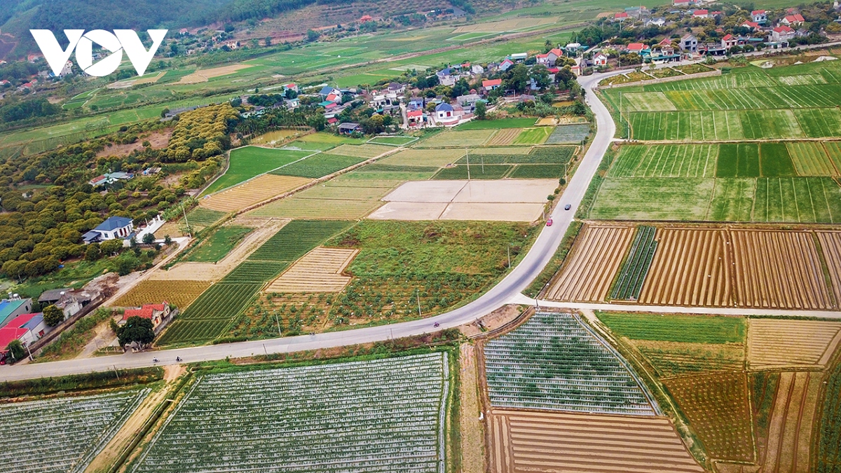  ngay dep tuoi o xa nong thon moi kieu mau hinh anh 6