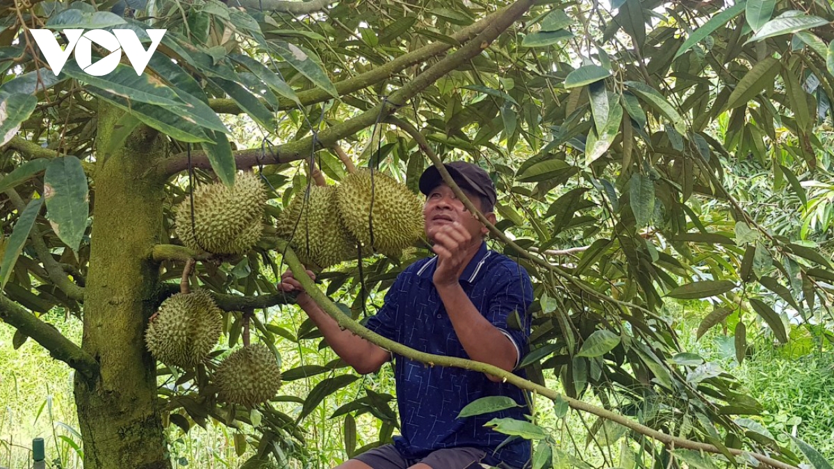 Kinh tế hạ tầng dữ liệu hướng đến số hoá truy xuất nguồn gốc nông sản