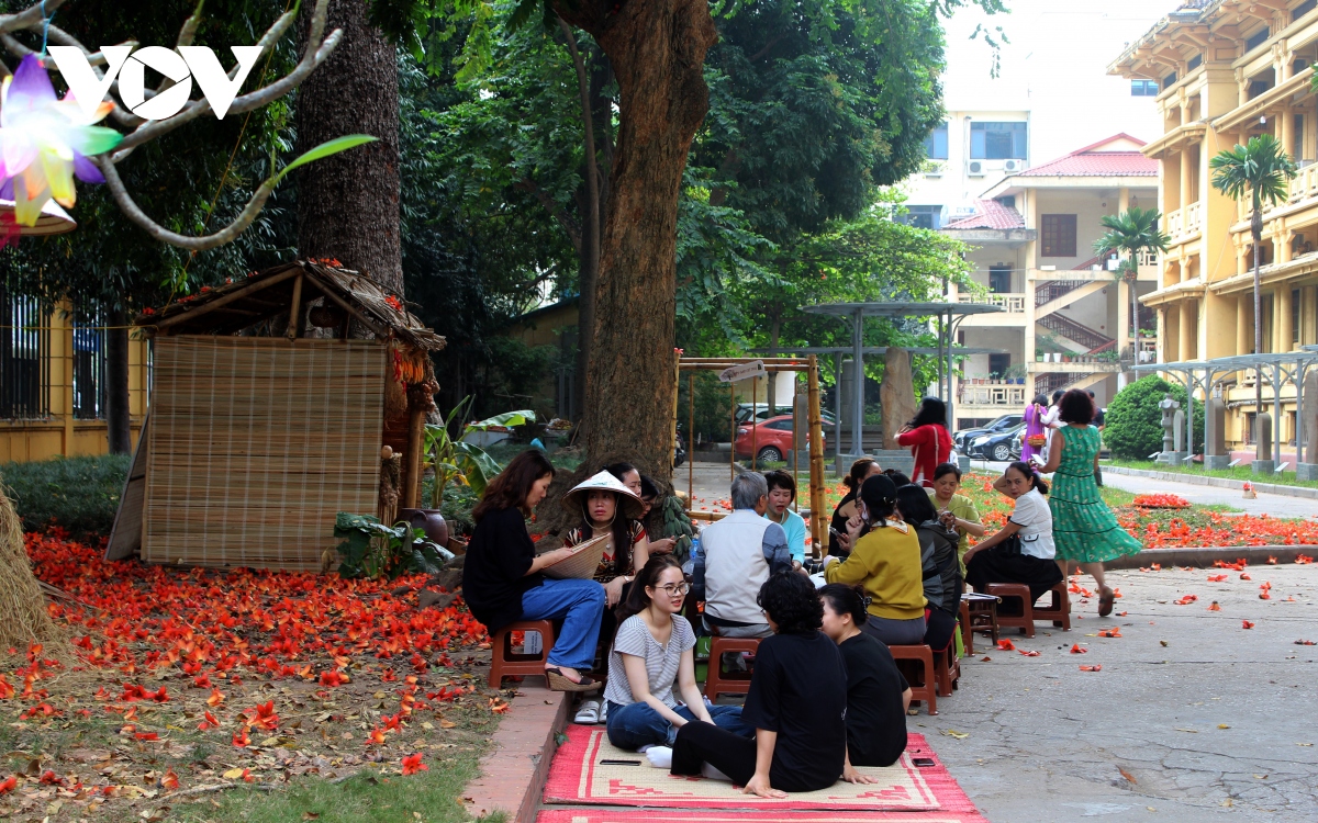 nguoi ha noi ngan ngo voi thang 3 hoa gao bung no hinh anh 7