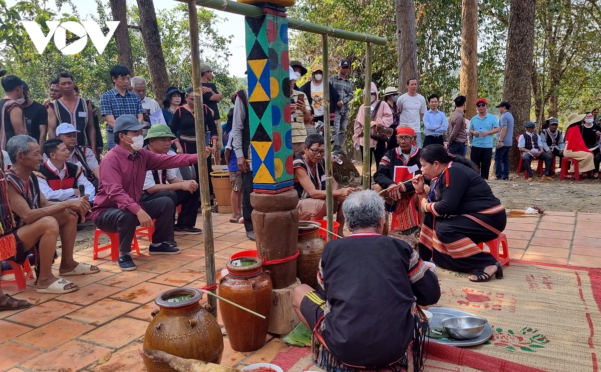 Doc dao le cung suc khoe cho voi o buon Don - Dak lak hinh anh 15