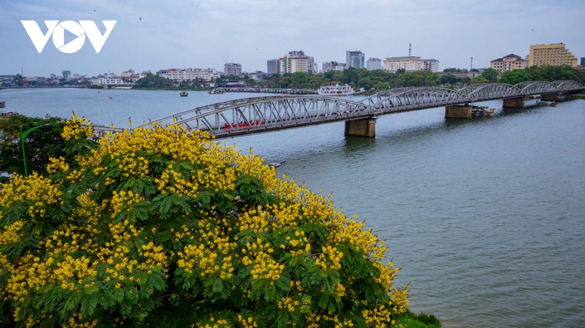 le hoi quang dien tren duong pho hue hinh anh 14