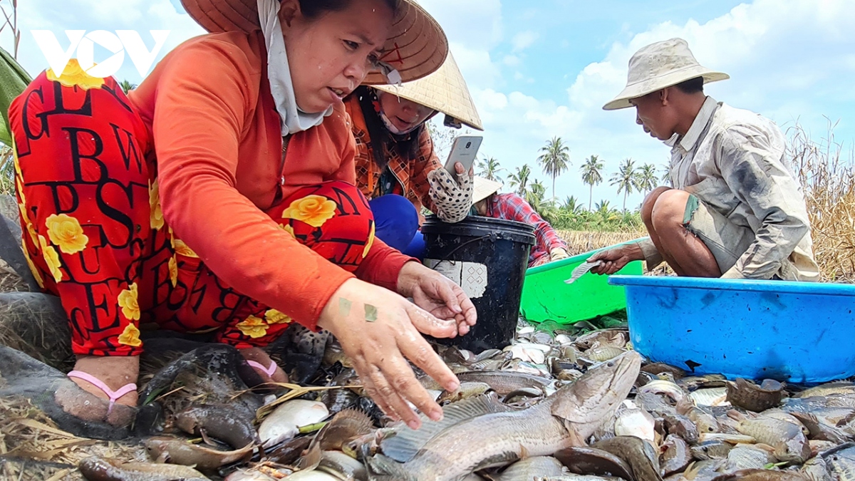 khai thac can gan voi bao ve nguon loi ca dong ca mau hinh anh 1