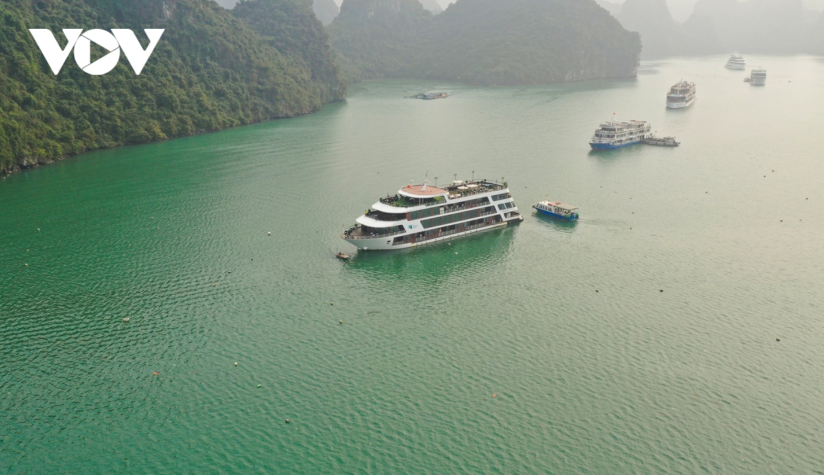 thu gom 7.000m3 phao xop tren vinh ha long hinh anh 2