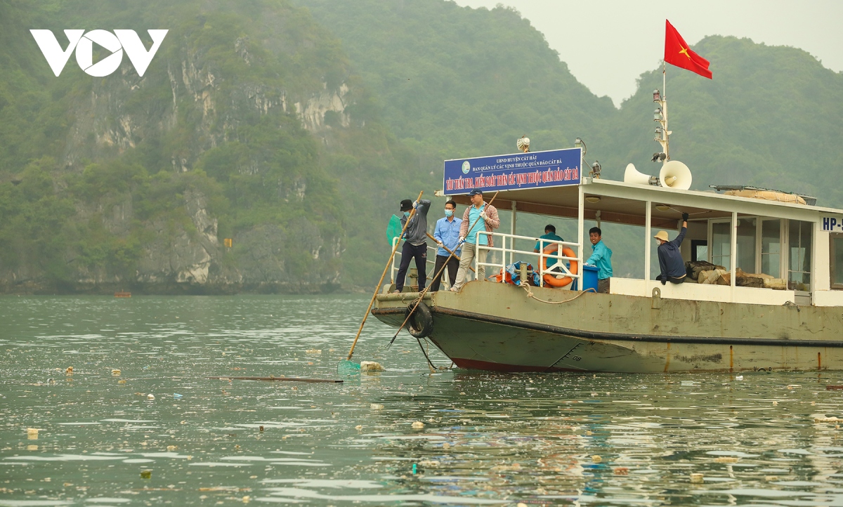 thu gom 7.000m3 phao xop tren vinh ha long hinh anh 5